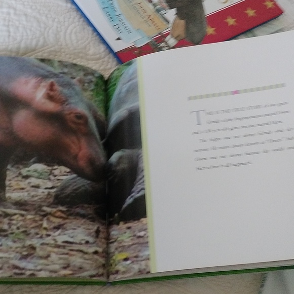 Hard cover picture story book for kids - Picture 3 of 3